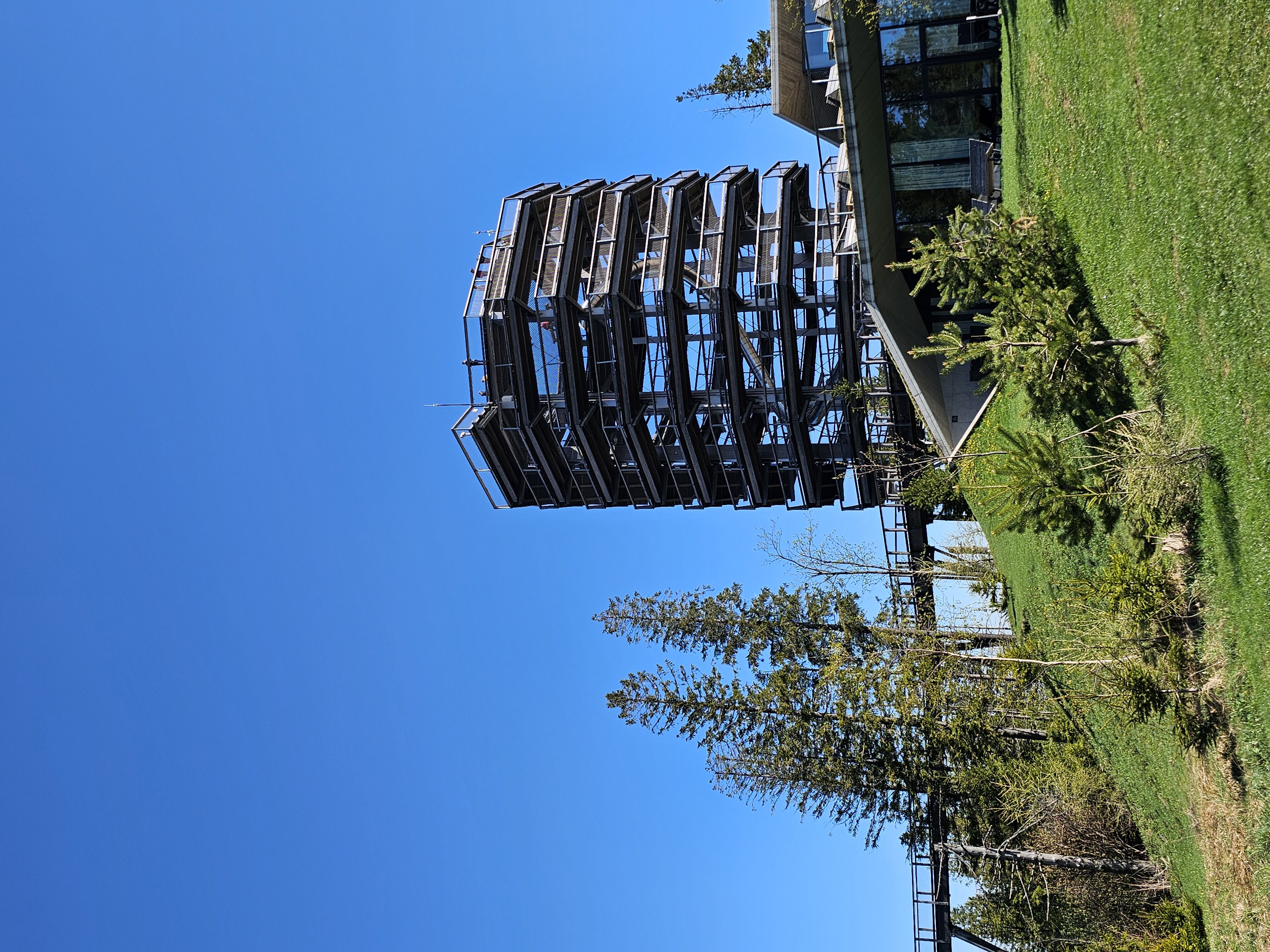 Normal-size image
